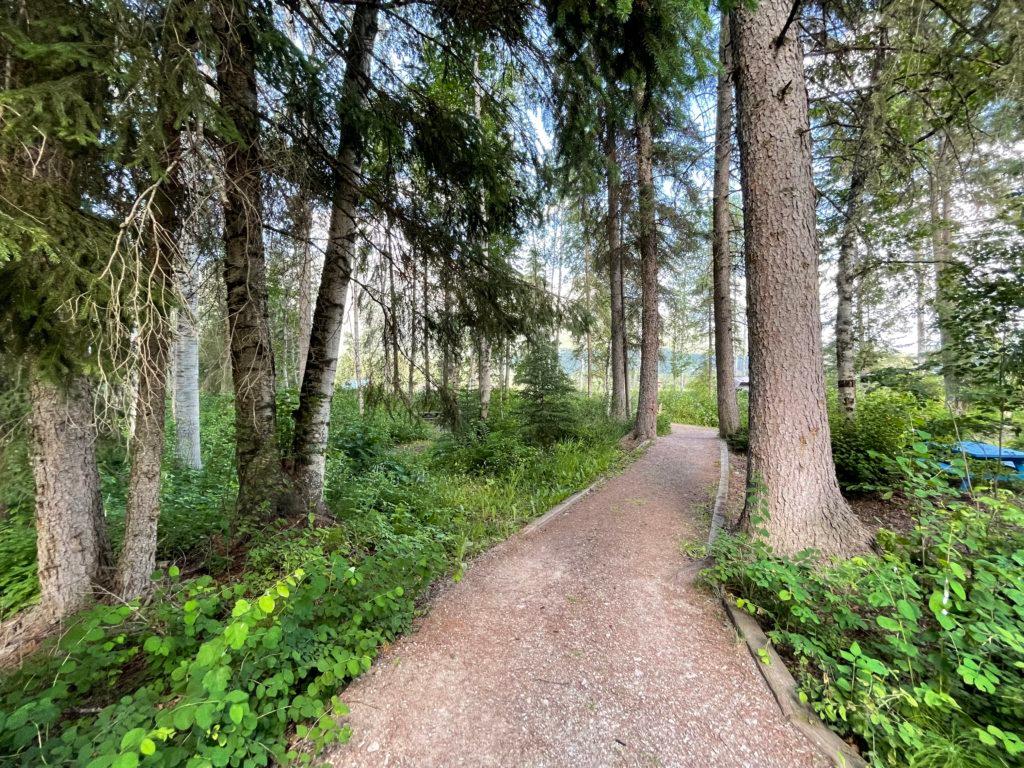 Wooded path leading toward the walk-in tent sites